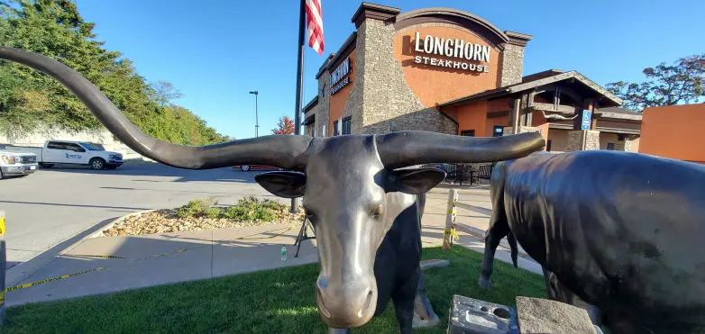 At Branson Welding and Fabrication, no job is too large or too small. This image shows a large project for Longhorn Steakhouse's Longhorn cattle made of metal!